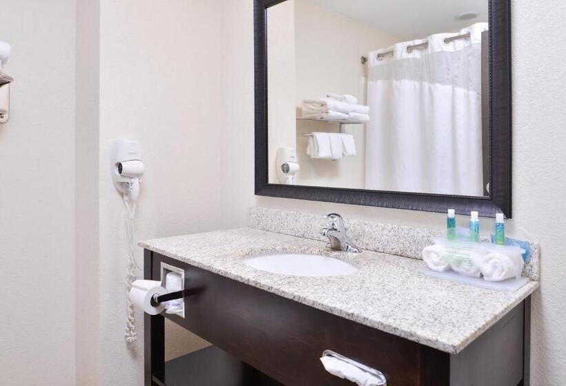 Люкс Кровать Кинг, Holiday Inn Express & Suites Emporia Northwest, An Ihg