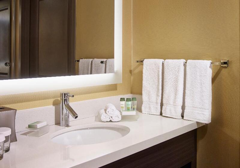 سوئیت با تخت بزرگ, Homewood Suites By Hilton Hamilton, Ontario, Canada