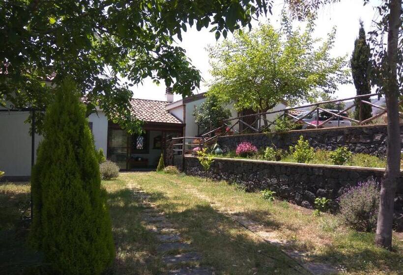 オーシャンビュースタンダードルームバルコニー付き, Alberto S Mt.etna B&b