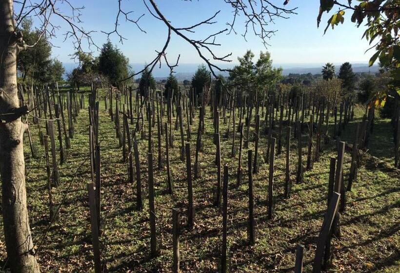 マウンテンビュースタンダードルーム, Alberto S Mt.etna B&b
