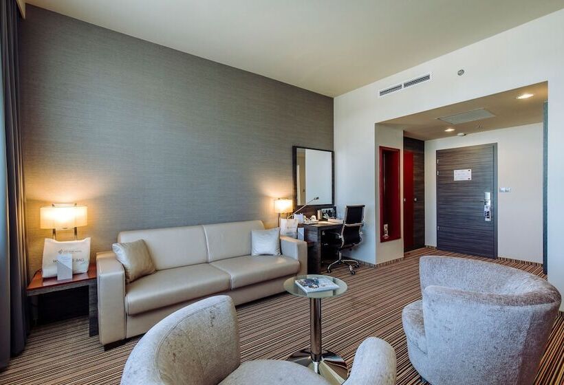 سوئیت اجرایی با مشاهده, Eto Park Hotel Business & Stadium