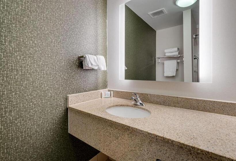 اتاق استاندارد با 2 تخت دوبل, Fairfield Inn & Suites By Marriott Lawton
