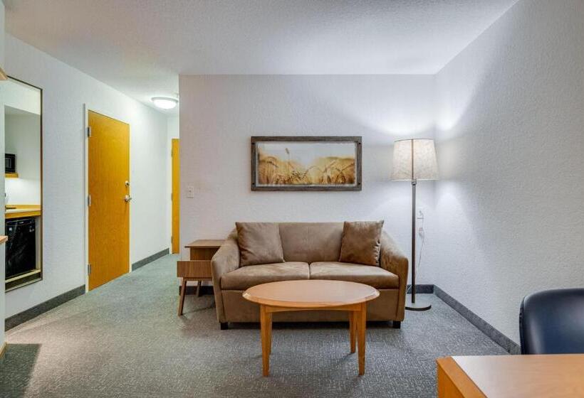 استودیو استاندارد با تخت کینگ, Fairfield Inn & Suites By Marriott Lawton