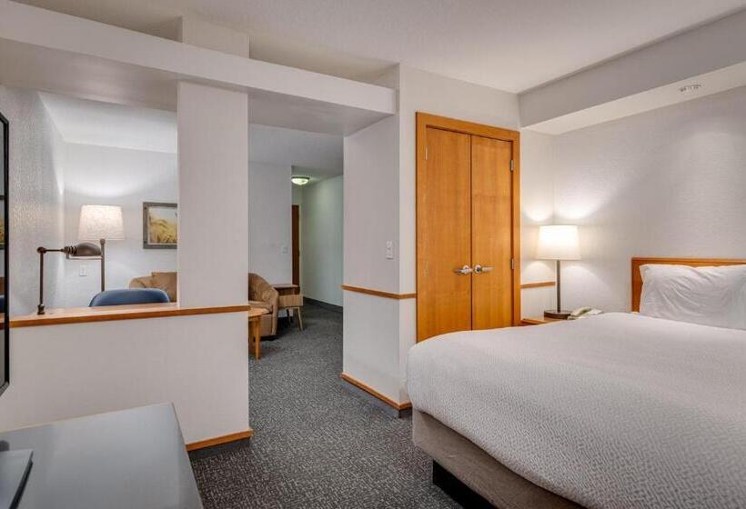 استودیو استاندارد با تخت کینگ, Fairfield Inn & Suites By Marriott Lawton
