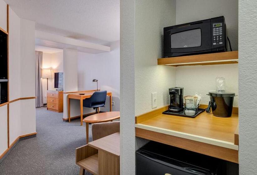استودیوی استاندارد, Fairfield Inn & Suites By Marriott Lawton