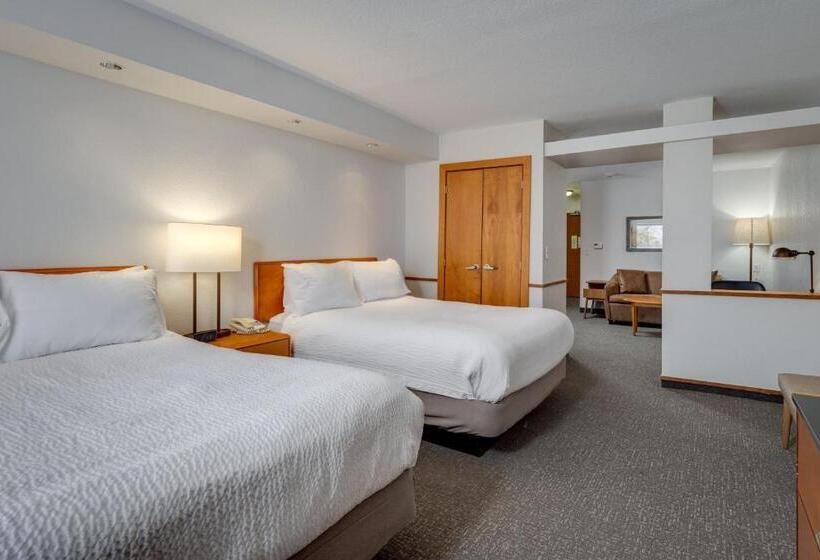 استودیوی استاندارد, Fairfield Inn & Suites By Marriott Lawton