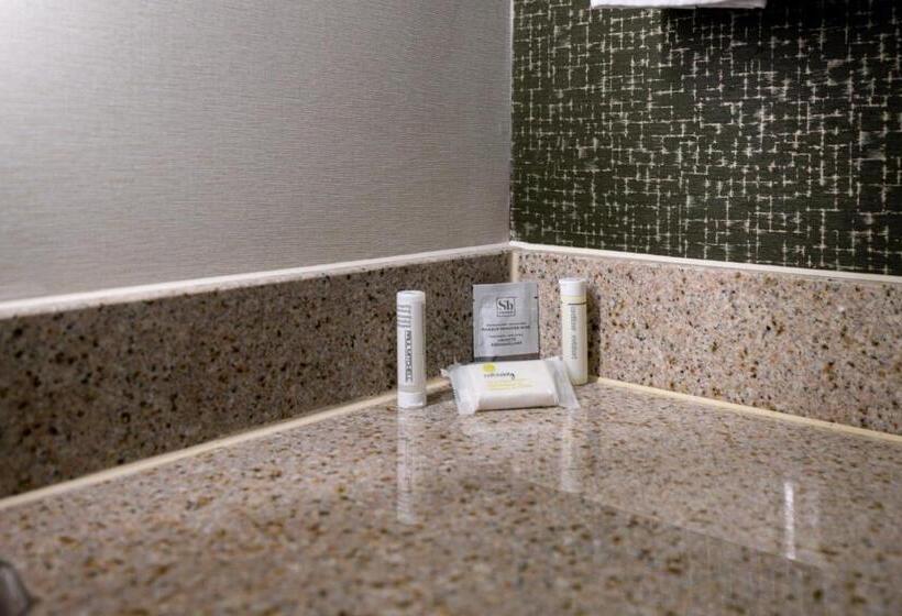 استودیوی استاندارد, Fairfield Inn & Suites By Marriott Lawton