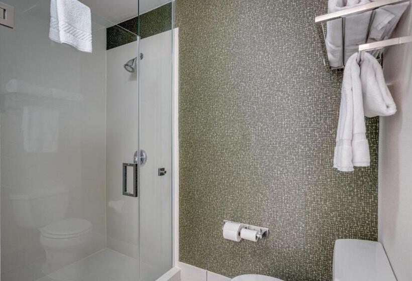 اتاق استاندارد, Fairfield Inn & Suites By Marriott Lawton