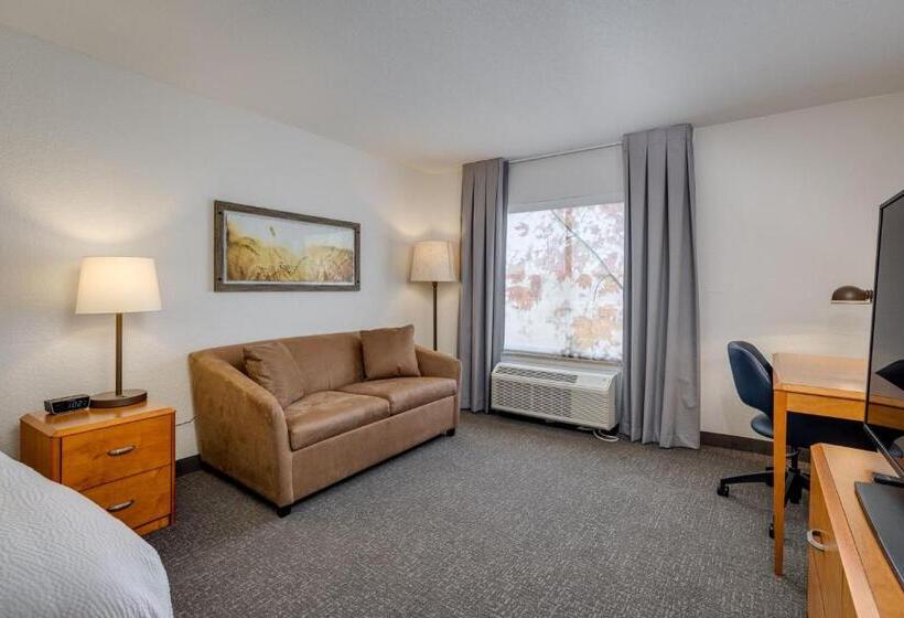 اتاق استاندارد, Fairfield Inn & Suites By Marriott Lawton