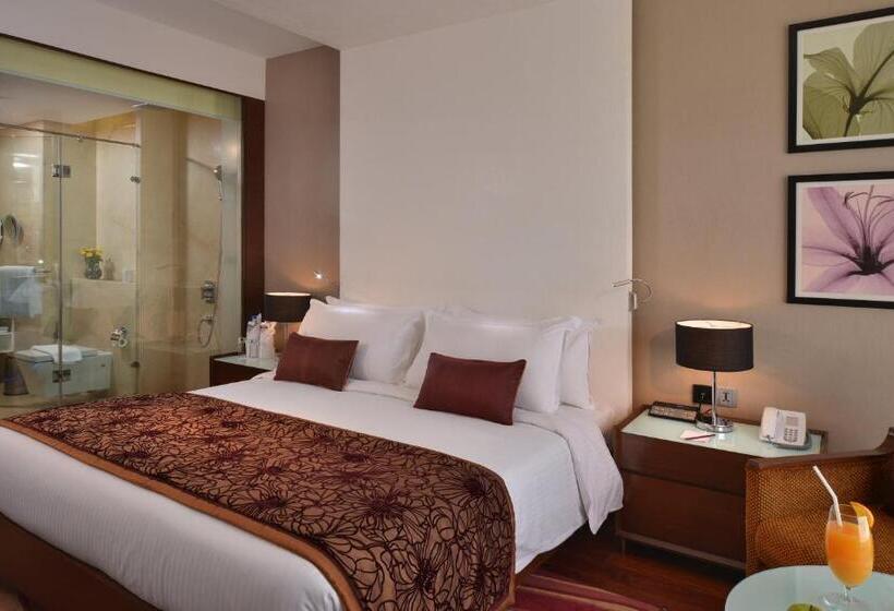 اتاق استاندارد با تخت بزرگ برای معلولان, Holiday Inn Chandigarh Panchkula, An Ihg