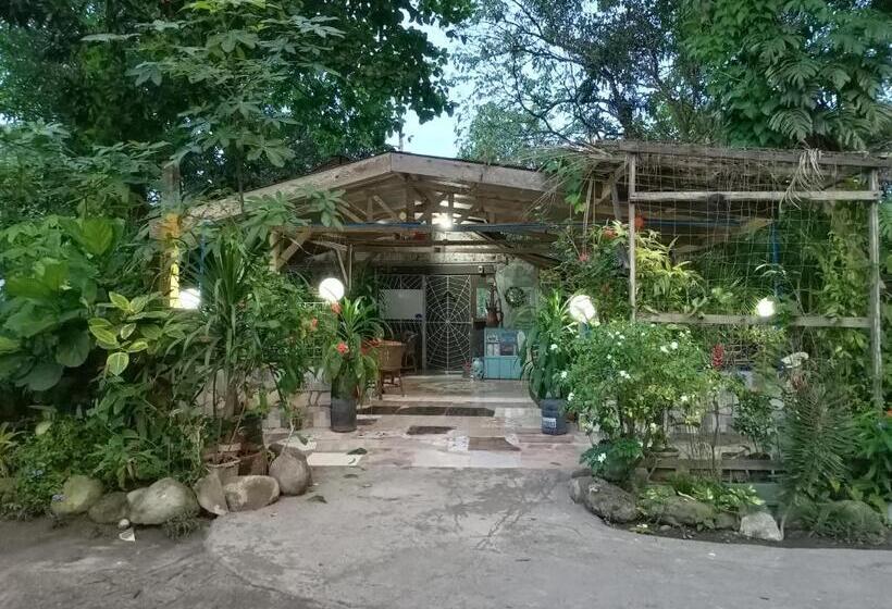 패밀리 룸, D Sanctum Resort