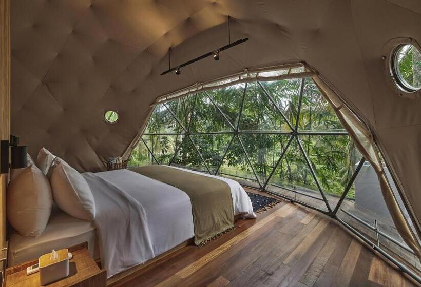 Standard Tent, Lintang Luku Tent Resort