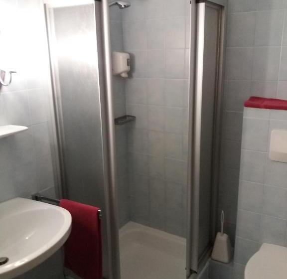 Номер Стандарт, Austria Traveller Hotel Lenzing