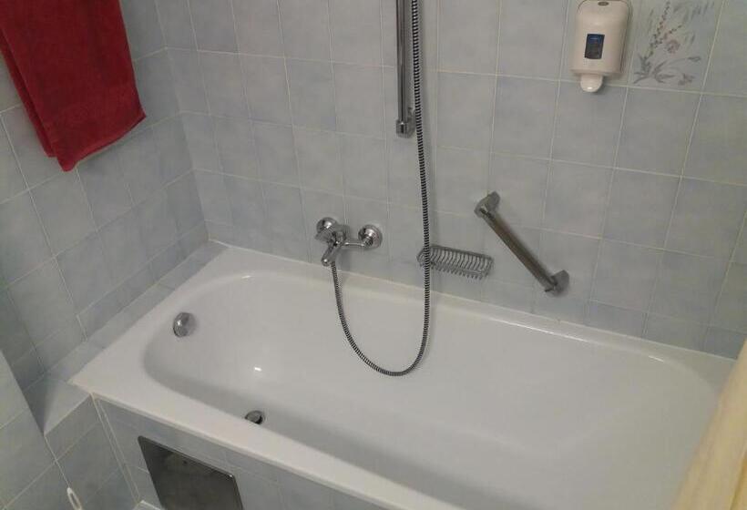 スタンダードルーム, Austria Traveller Hotel Lenzing