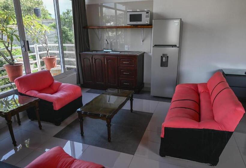 اتاق استاندارد با تراس, Casa Leonor