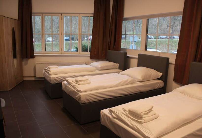 스탠다드 트리플 룸, David S Hostel