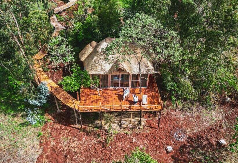 디럭스 룸 킹사이즈 침대, Foresight Eco Lodge & Safari