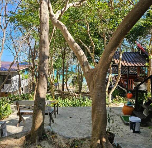 Quarto Estandar, Horizon Resort