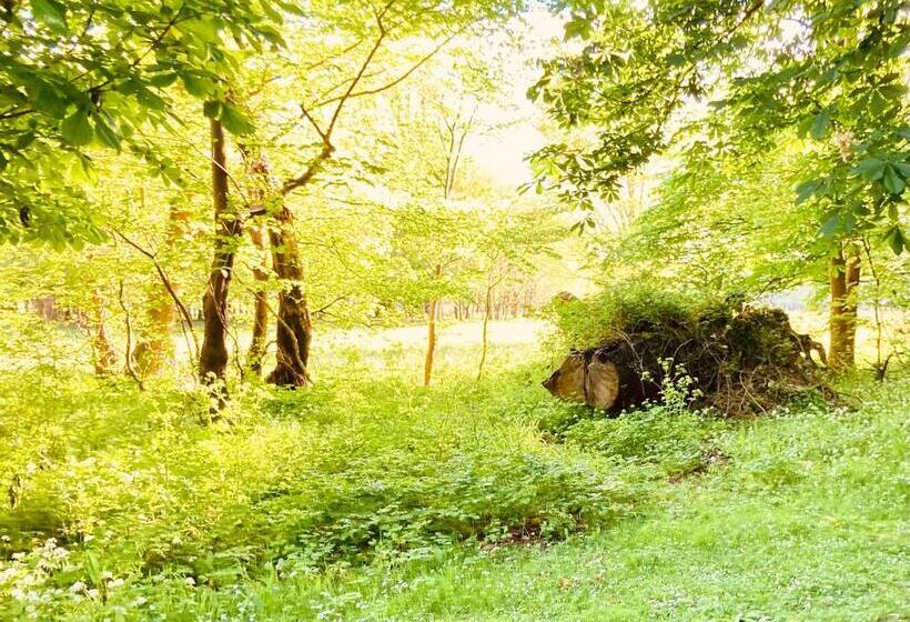 اتاق لوکس با تخت بزرگ, Ivy Cottage B&b
