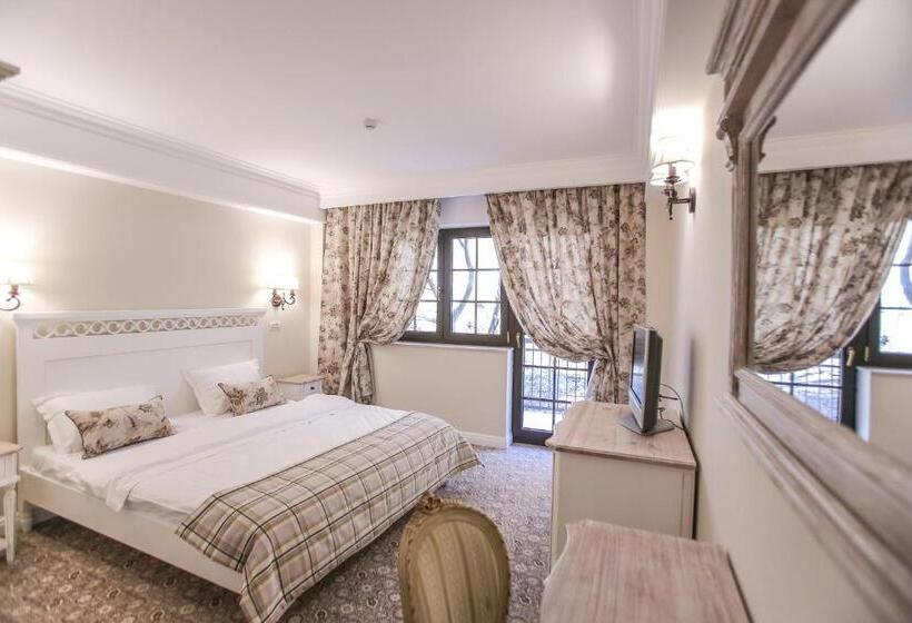 اتاق استاندارد با بالکن, Pensiunea Dimitrios & Spa   Băile Herculane  Valea Cernei Terapie Spa  Relaxare A Minții și A Trupul