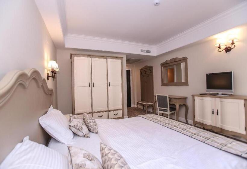 اتاق استاندارد با بالکن, Pensiunea Dimitrios & Spa   Băile Herculane  Valea Cernei Terapie Spa  Relaxare A Minții și A Trupul