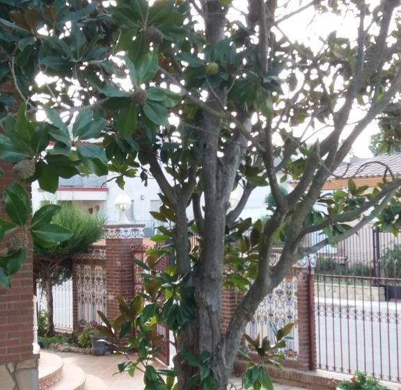 Номер Стандарт Вид на Горы, Villa Los Angeles Piscine Privée Pour 20 Personnes