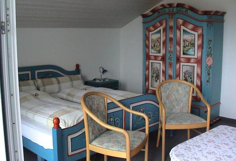 اتاق استاندارد, Panorama Hotel Freudenberg