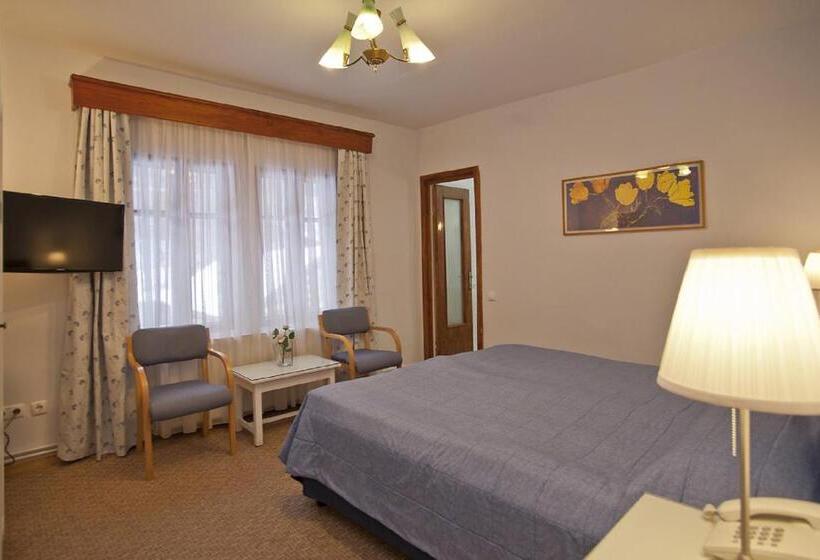 Standard Room, Vila Camelia