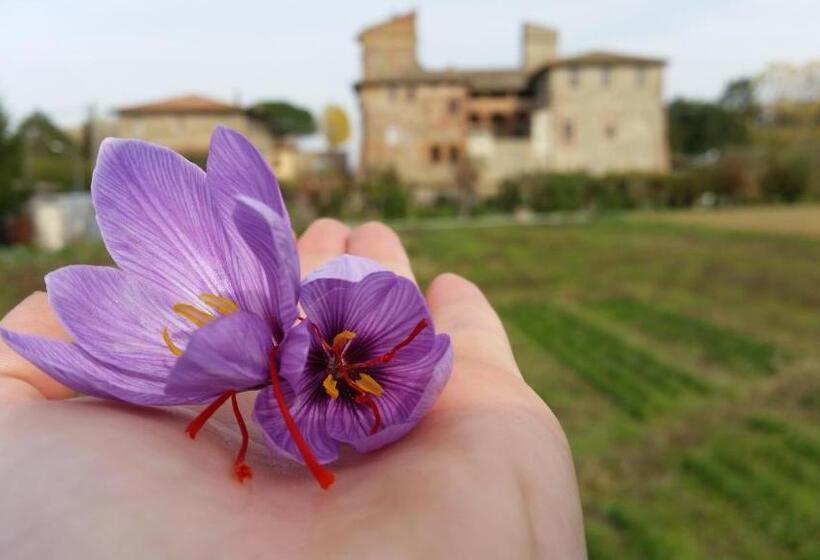 스탠다드 트리플 룸, Agriturismo Abbazia Sette Frati A Casa Di Sara