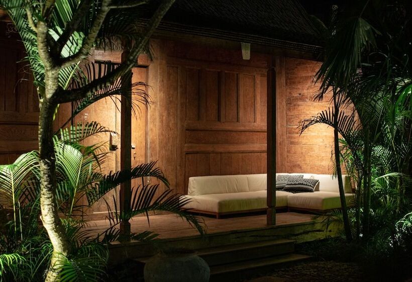 استودیوی استاندارد, The Asa Maia   Adults Only Resort