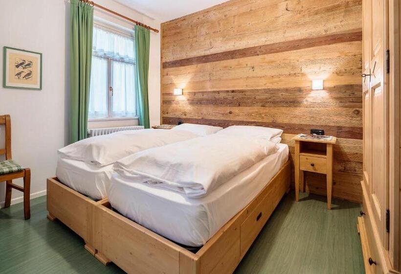 Номер Стандарт, Oasi