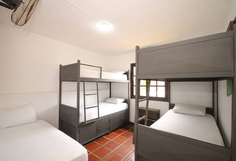 Кровать в Общей Комнате, Che Lagarto Hostel Buzios