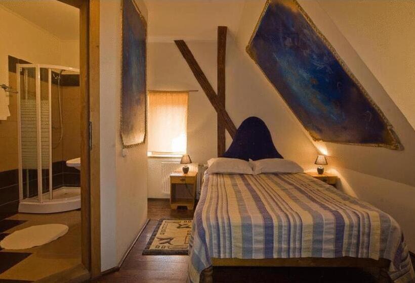 Номер Стандарт, Pensiune Citadela Sighisoara