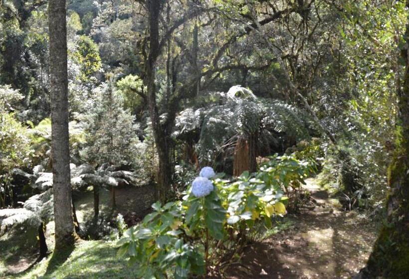 Chambre Deluxe, Pousada Serras De Monte Verde