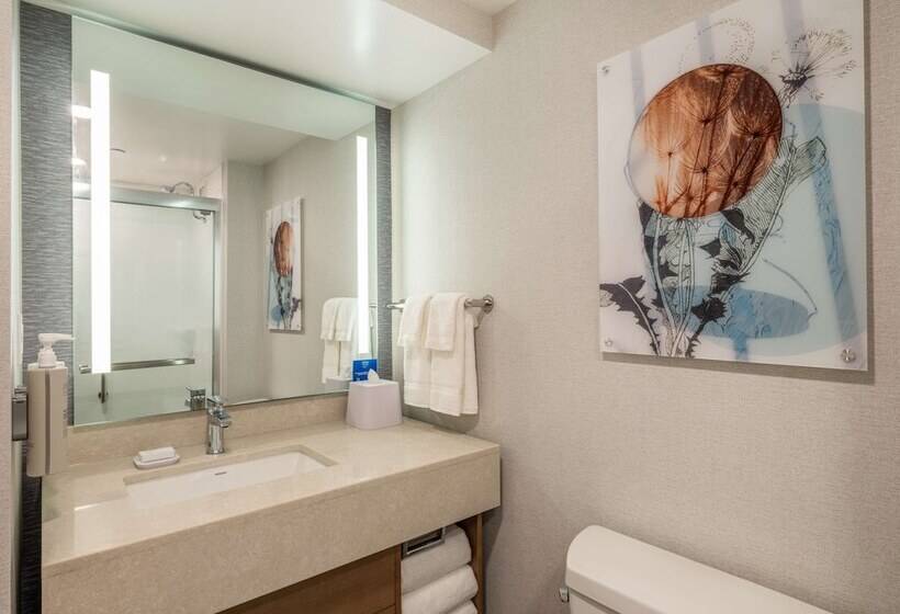 Люкс 2 Спальни, Homewood Suites By Hilton Toledo Downtown