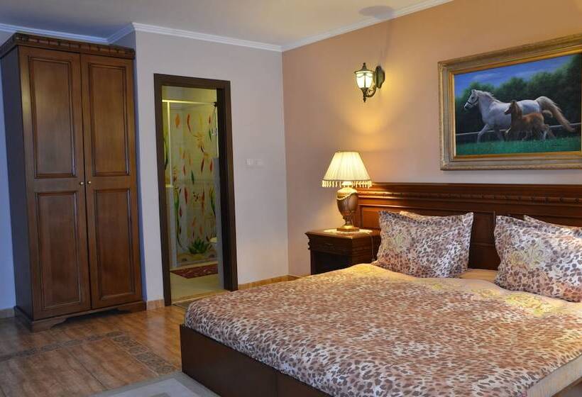 اتاق استاندارد, Boutique Hotel Boris Palace & Restaurant