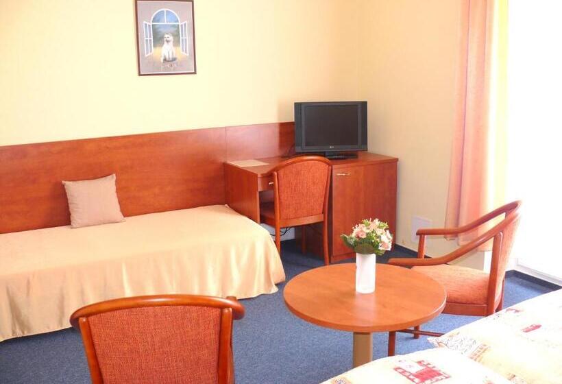 Номер Стандарт Трехместный, Morava