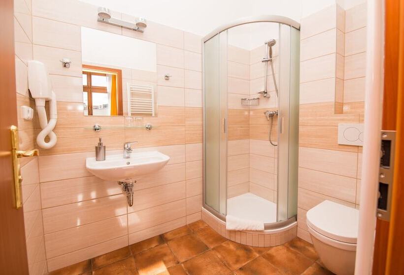 Номер Стандарт Трехместный, Morava
