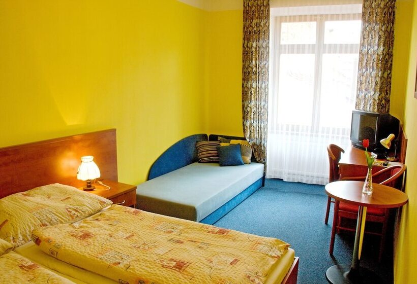 Номер Стандарт Трехместный, Morava