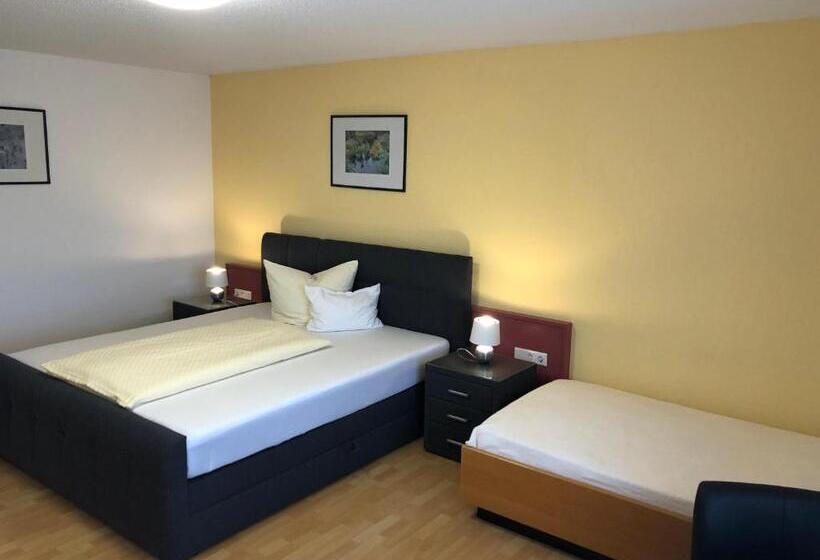 Трехместный Номер Superior, Tiptop Hotel Am Hochrhein