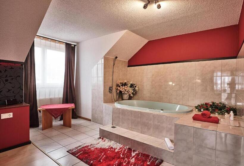 Люкс Повышенной Комфортности, Tiptop Hotel Am Hochrhein