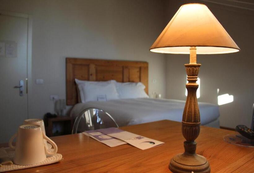 اتاق لوکس, Art Hotel Varese