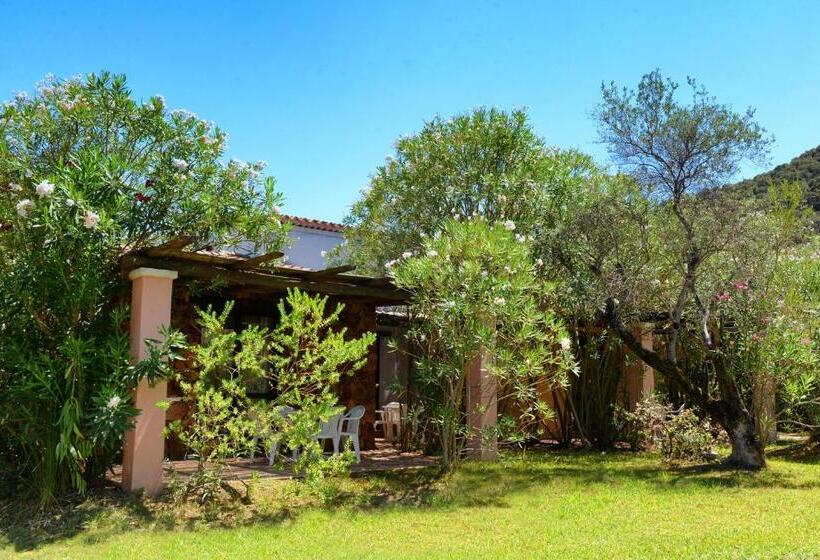 Четырехместный Номер Стандарт, Perdepera Resort