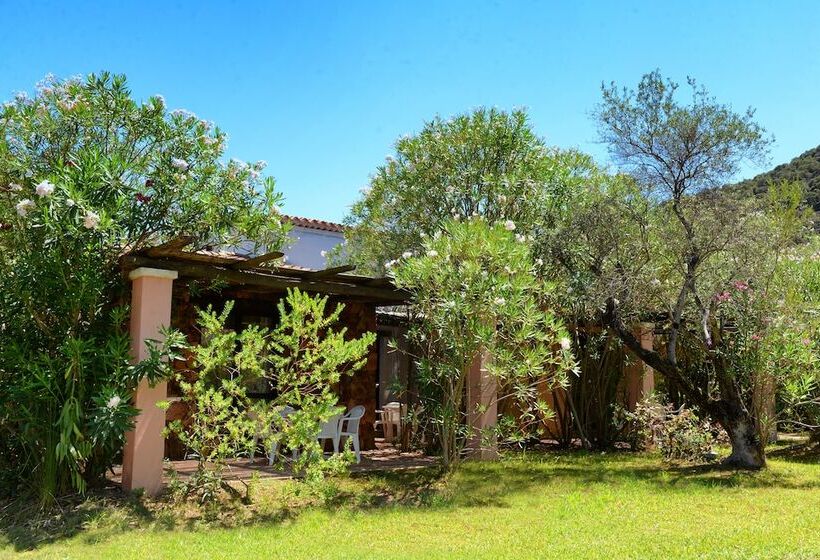 Четырехместный Номер Стандарт, Perdepera Resort