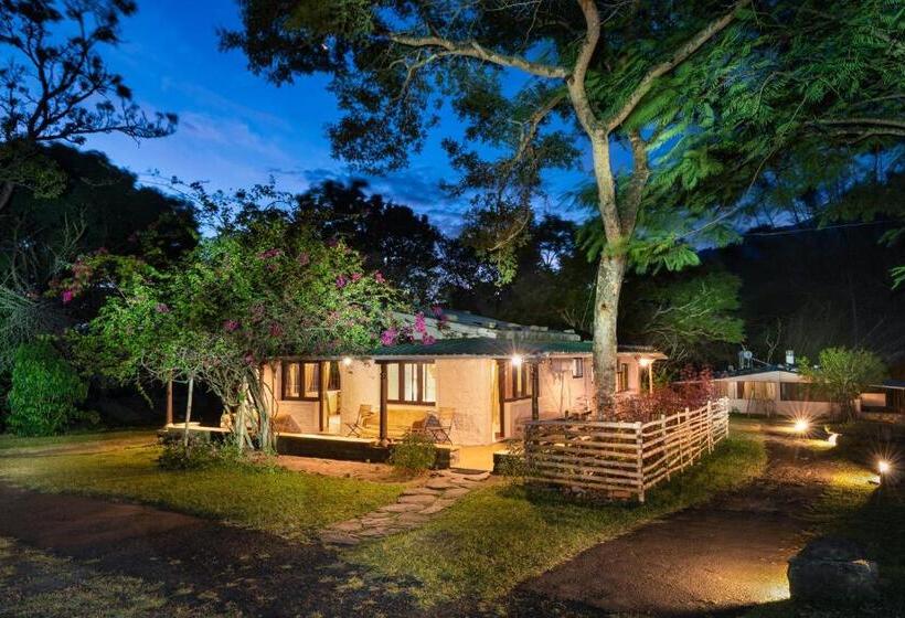 Standard Tent, Jungle Hut