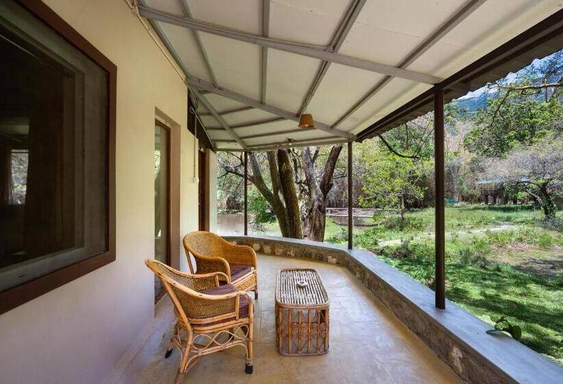 高级大房间, Jungle Hut