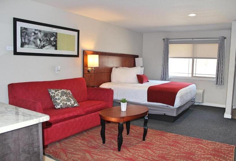 Deluxe Studio, Bell & Main Alamosa Studio Suite Walking Distance To Downtown