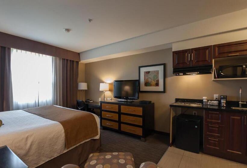Номер Стандарт Кровать Кинг Адаптированный для Инвалидов, Best Western Plus Moose Jaw
