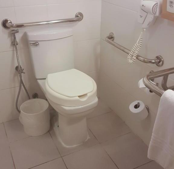 장애인을 위한 스탠다드 룸, Ibis Itu Plaza Shopping