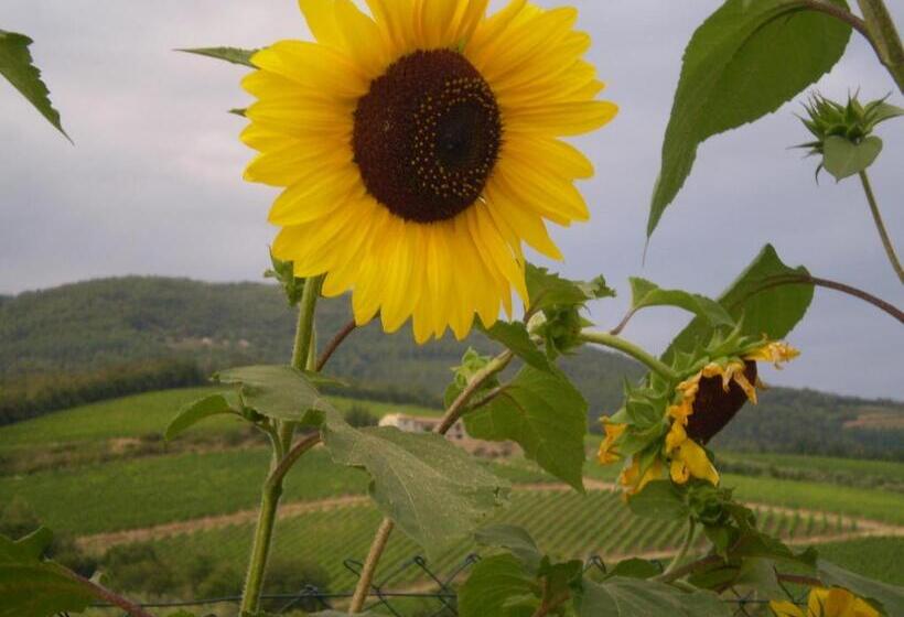 اتاق کلاس بیزنس, B&b Il Nido Del Merlo